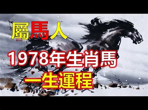 1978屬馬女2023年運勢換工作|【1978屬馬女2023年運勢換工作】1978屬馬女2023年。